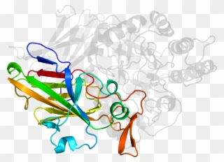 D1vw4g In Context Of Pdb - Graphic Design Clipart