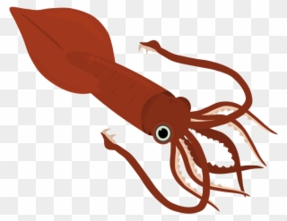 Colossal Squid Misc Art - Giant Squid Clipart