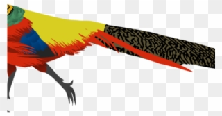 Pheasant Clipart High - Golden Pheasant Png Transparent Png