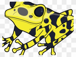 Poison Dart Frog Clipart Spotted Frog - Poison Dart Frog Clip Art - Png Download