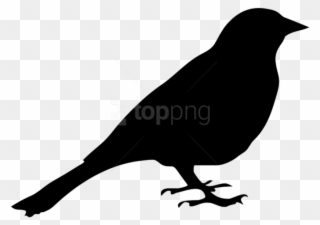 Free Png Download Bird Silhouette Png Images Background - Blackbird Transparent Clipart