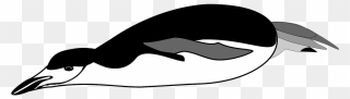 Clip Art Cliparts Co Pinguin - Penguin Diving Clipart - Png Download
