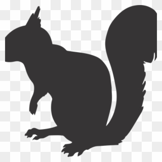 Black Silhouettes Pinterest Science Clipart Squirrel - Squirrel Silhouette Png Transparent Png