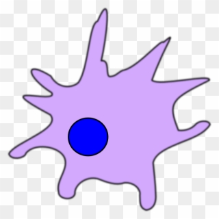 Dendritic Cell Png Clipart