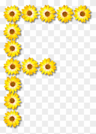All Photo Png Clipart - Flower Transparent Png