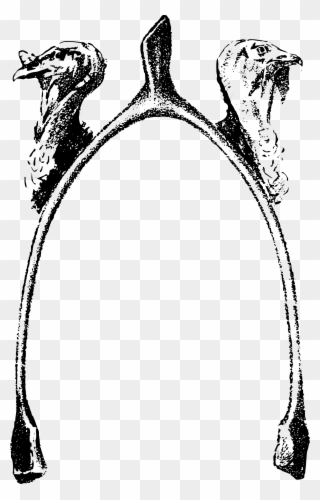 Clipart - Wishbone Icon - Png Download