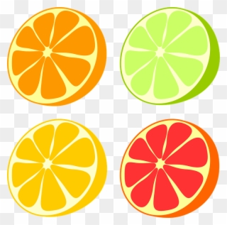Orange Fruit Clipart Grapefruit - 자몽 일러스트 - Png Download