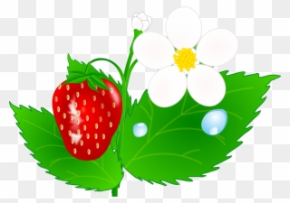Green Leaves Clipart Strawberry - Strawberry Plant Clip Art - Png Download