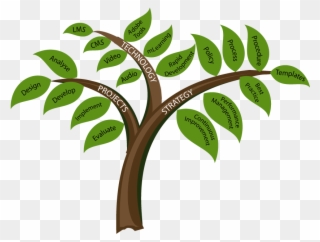 Consultation Services Provided By Mary Hetherington - Learning And Development Tree Clipart