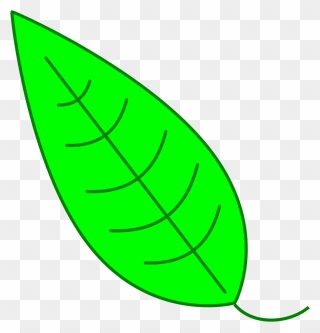 Leaf Clipart Icon - Simple Leaf Drawing Png Transparent Png