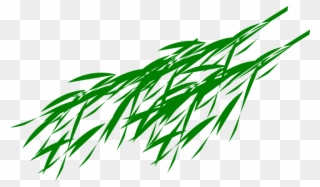 Green Leaves Clipart Bamboo Leave - Panda Bear Eating Bamboo - Png Download