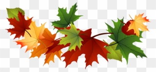Fall Leaves Clip Art Free Fall Transparent Leaves - Free Fall Clip Art Leaves - Png Download