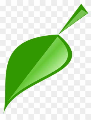 Green Leaves Clipart Single Green Leave - Single Neem Leaf Logo - Png Download