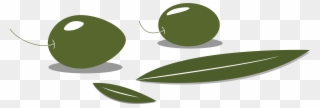 Olive Leaf Computer Icons Pdf Fruit - Olive Clipart