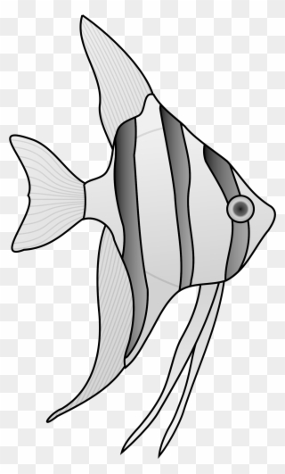 Clipart - Black And White Angel Fish - Png Download