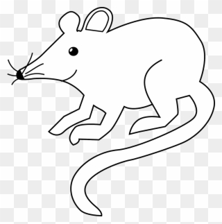 All Photo Png Clipart - Rat Black And White Transparent Png