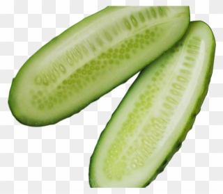 Cucumber Clipart File - Pickles Slice Png Transparent Png