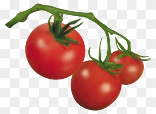 Clipart Of Tomato, Tomato The And Tomato Of - Plum Tomato - Png Download