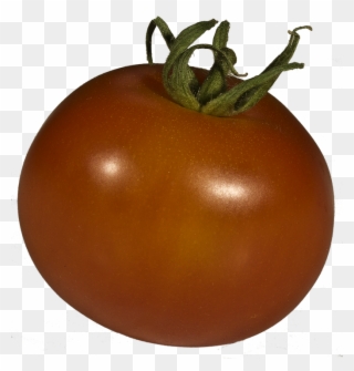 Free Photo Tomato Solanum Lycopersicum Grown Xitomatl - Plum Tomato Clipart