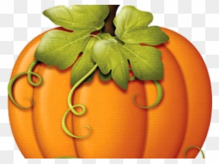 Harvest Clipart Colorful Pumpkin - Pumpkins With Vines Clipart - Png Download