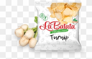 Turnip - Vegetable Clipart
