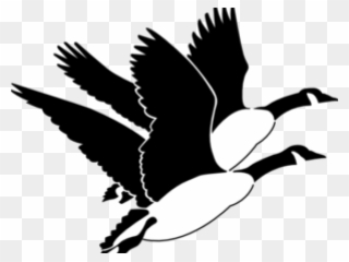 Geese Flying Clip Art - Png Download