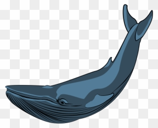Whale Drawing Ocean - Whale Clipart