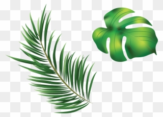 Clipart Leaves Leaves Grass - Png Download