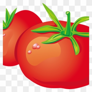 2 Tomatoes Cartoon Clipart (#4225698) - PinClipart