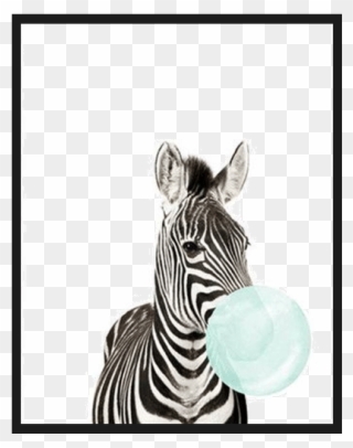 Bubble Animals Canvas Poster - Zebra Bubble Gum Art Clipart