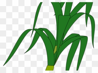 Stalk Clipart Stem - Clip Art - Png Download