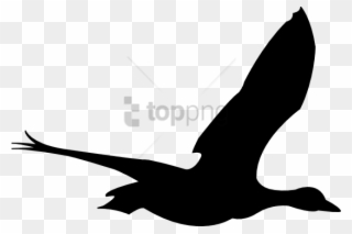 Free Png Flying Birds Animation Png Image With Transparent - Flying Bird Animation Png Clipart