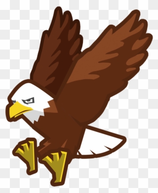 Hawk Clipart Beak - Bald Eagle - Png Download