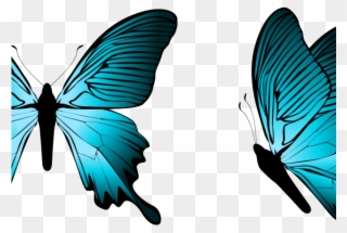 Light Blue Clipart Butterfly - Transparent Butterfly Blue Clipart - Png Download