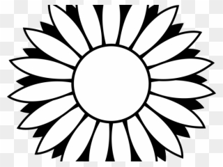 Daisy Clipart Books - Sunflower Clipart Black And White Png Transparent Png