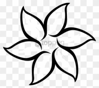 Free Png Floral Flower White Daffodil Daisy Tulip D - Black And White Flower Outline Clipart