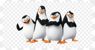 Penguins Of Madagascar Clipart