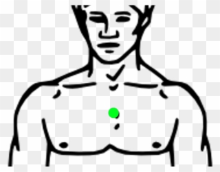 Chest Clipart Body Part - Upper Body Clipart - Png Download