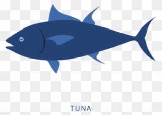 Tuna Clipart Vector - Baiting In Social Engineering - Png Download