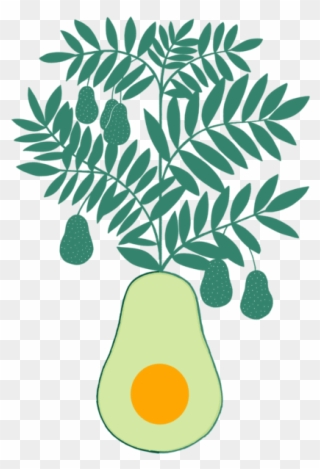 Our Avocados - Illustration Clipart
