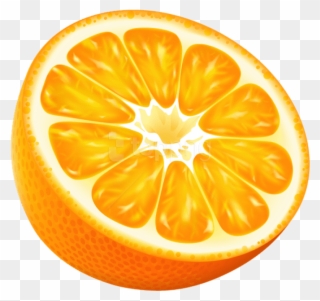 Free Png Half Orange Png Vector Png - Sliced Oranges Vector Clipart