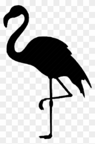 #flamingo #piscart #remixit #followmeplz #siluet - Water Bird Clipart