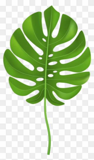 Jungle Leaves Clipart - Palm Leaf Clipart Transparent - Png Download