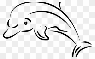 Dolphin Drawing Transparent Png Clipart