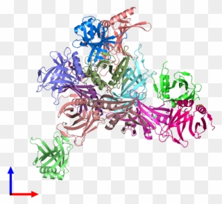 Pdb 3dtd Coloured By Chain And Viewed From The Front - Graphic Design Clipart