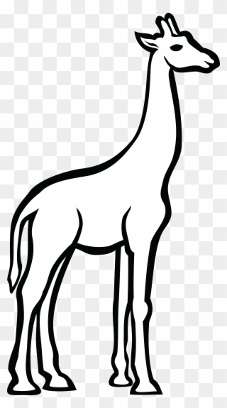 Free Png Giraffe Clipart Clip Art Download Page 2 Pinclipart