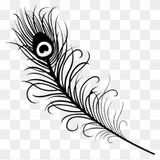 Successful Peacock Coloring Page - Easy Peacock Feather Drawing Clipart