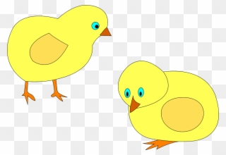 Amarela Drawing Duck Yellow - Cücə Png Clipart