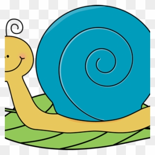 Snail Clipart Owl Clipart - Png Cartoon Snail Transparent Png