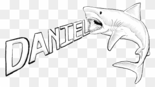Great White Shark Drawing - Cool Drawings Of Sharks Clipart